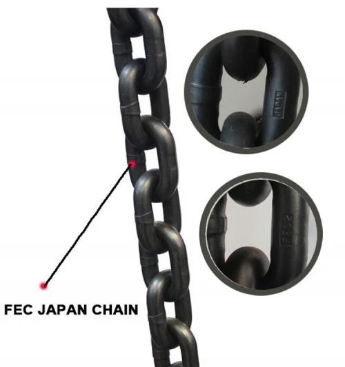 Bison 5Ton Single Phase Electric Chain Hoist 115v/230v - Image 3